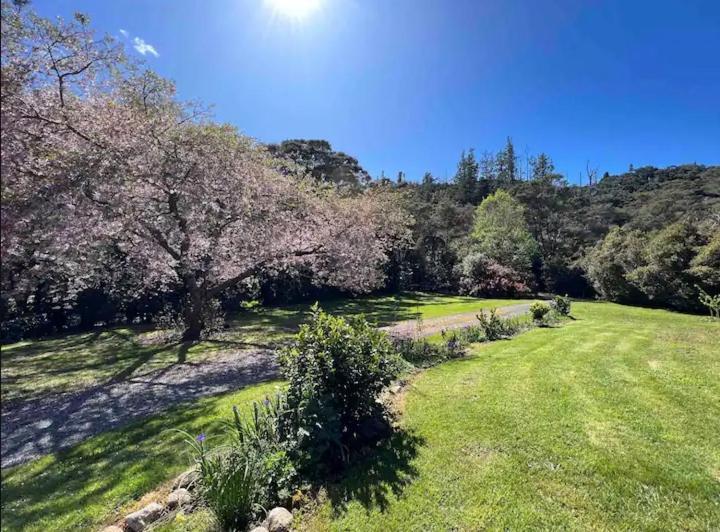 Coromandel Secluded Log Cabin Retreat Hikuai Exterior photo